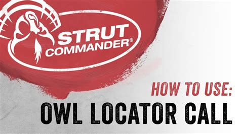 Strut commander - Hit "subscribe" to be the first to watch our hunting videos and tips! Strut Commander Calls & Gear available here: https://strutcommander.com/shop-all/ Foll...